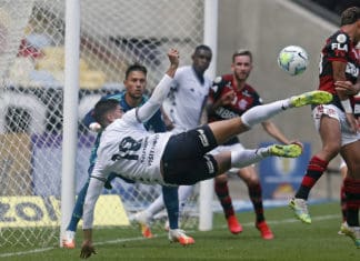 Flamengo e Botafogo empatam em 1 x 1 em jogo equilibrado Foto: Vitor Silva / Botafogo