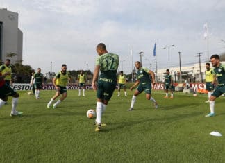 Palmeiras pronto para enfrentar algoz do Corinthians na Libertadores Palmeiras enfrenta o Guarani (PAR)