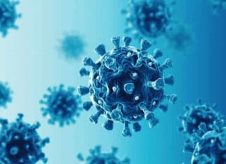 Coronavírus assola clubes da Série A, que terão 43 desfalques na rodada Coronavírus