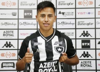 Peruano Lecaros tem contusão no tornozelo direito e desfalcará Botafogo Lecaros