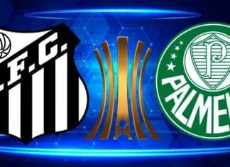 Santos e Palmeiras chegam à quinta final de Libertadores cada um Santos vs Palmeiras