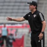 Fernando Diniz (Foto: Rubens Chiri / saopaulofc.net)