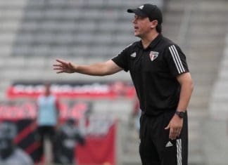 Fernando Diniz é especulado pelo Botafogo, mas descartado pelo Santos Fernando Diniz (Foto: Rubens Chiri / saopaulofc.net)