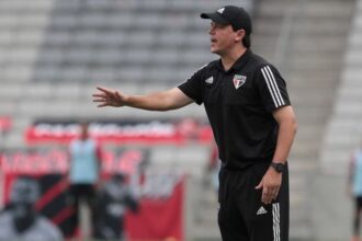 Fernando Diniz (Foto: Rubens Chiri / saopaulofc.net)