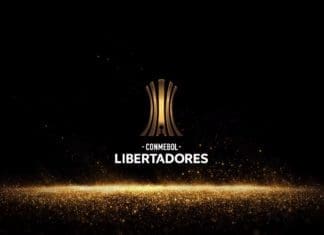 Botafogo mostra evolução e dá esperança na Libertadores Libertadores