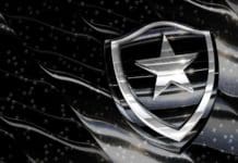Botafogo define posições prioritárias para reforços Botafogo