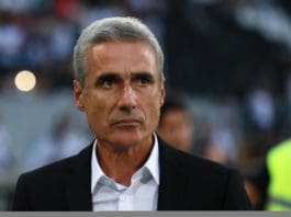 Grêmio espera fim do transfer ban para dar pelo menos 5 reforços para Castro Luís Castro