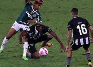 Palmeiras e Botafogo duelam pela ponta do Brasileirão no Allianz Parque