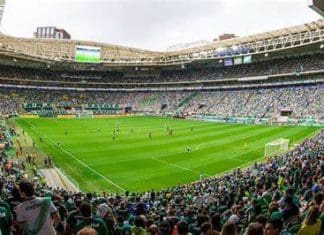 Palmeiras enfrenta o Grêmio e tenta manter viva a esperança no tricampeonato brasileiro Allianz Parque