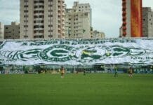 Líder da Série B, Goiás ainda pode buscar mais reforços Bandeirao goias