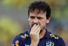 fernando diniz