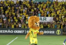 A campanha histórica do Mirassol: vaga na Libertadores e invicto em casa Mirassol, o Leão Caipira