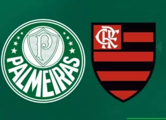 Flamengo supera o Palmeiras e incendeia briga pela ponta do Brasileiro. Veja os melhores momentos Palmeiras v Flamengo
