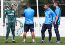 Palmeiras: um ano para esquecer: muito dinheiro e pouca glória Comissão técnica do Palmeiras