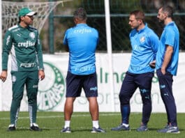 Palmeiras: um ano para esquecer: muito dinheiro e pouca glória Comissão técnica do Palmeiras