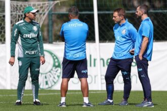 Comissão técnica do Palmeiras