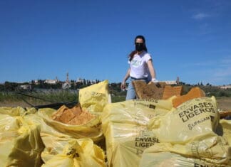 Futebol e sustentabilidade: clubes ‘ecológicos’ em ascensão Forever Green do Real Betis