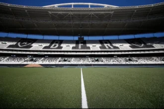 gramado sintético do Nilton Santos