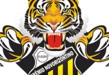 O Novorizontino e a saga na Série B: rumo ao acesso ou mais um ano de espera? Novorizontino