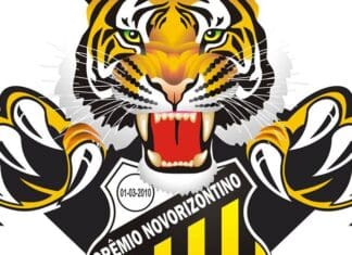 O Novorizontino e a saga na Série B: rumo ao acesso ou mais um ano de espera? Novorizontino