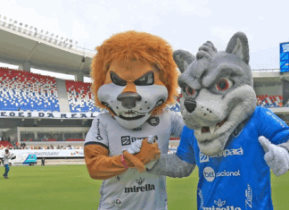 A vergonha bicolor: Paysandu cai e assiste ao sucesso do rival Remo na temporada Paysandu rebaixado, Remo nas alturas