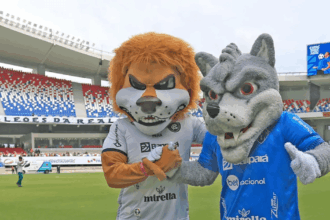 Paysandu rebaixado, Remo nas alturas